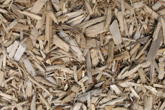 biomass boilers Stockwood